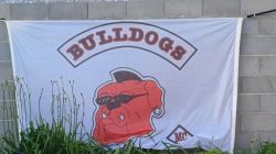 20240607_195055.jpg